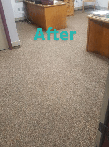 Clean Carpets After Picture