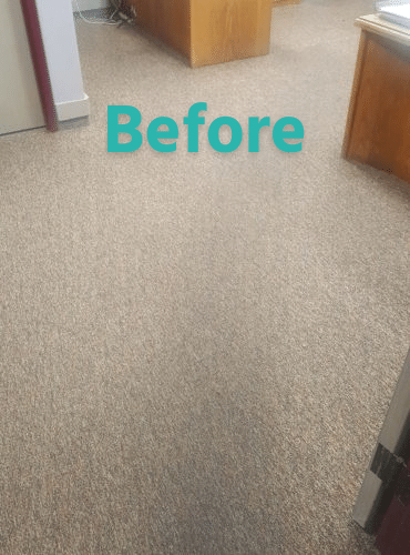 Dirty Carpet Before Picture